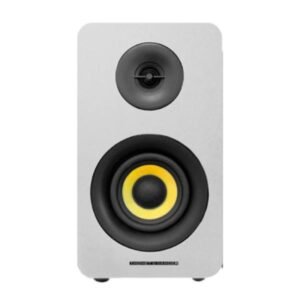 PARLANTE THONET & VANDER KUMPEL 50W BLUETOOTH 3.5 Y RCA HK096-03677